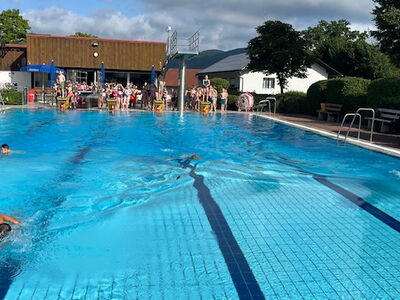 Vier Schwimmer ziehen Bahnen im Wasser