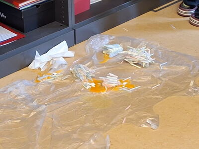 Strohhalme liegen auf einer Folie verteilt