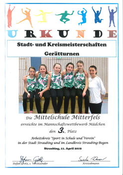 3. Platz im Geräteturnen