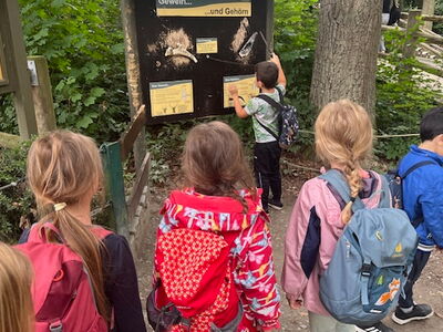 Schüler stehen vor einer Informationstafel